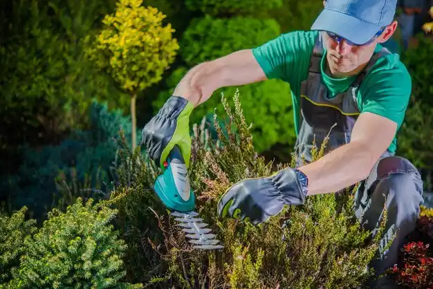 landscaping services New Castle